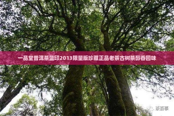 一品堂普洱茶蓝印2013