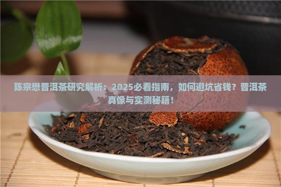 陈宗懋关于普洱茶的研究
