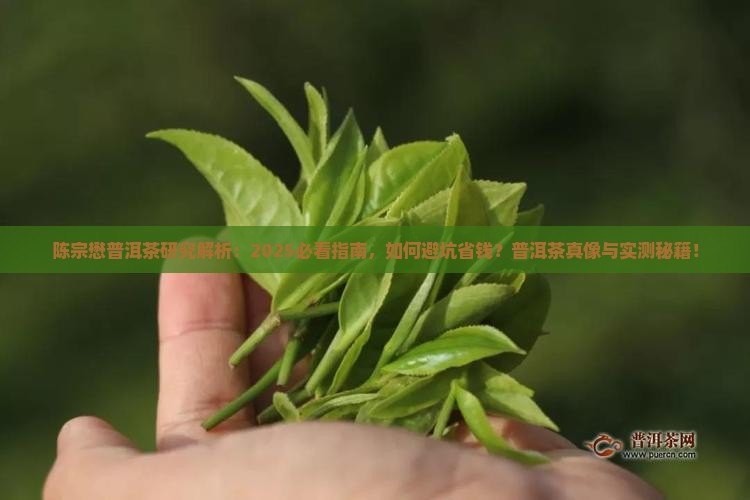 陈宗懋关于普洱茶的研究
