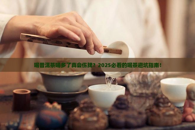 喝普洱茶多了会导致脾虚吗