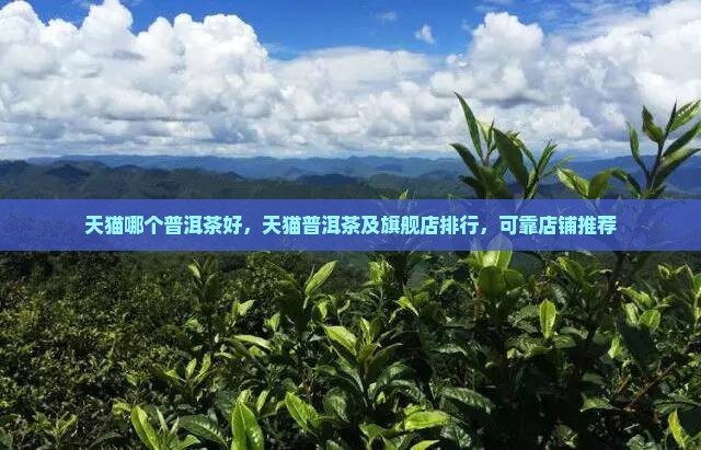 天猫哪个品牌普洱茶好