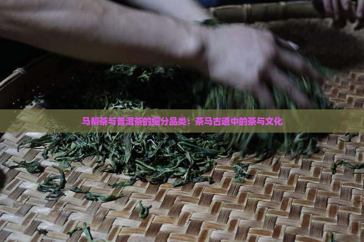 马帮茶与普洱茶