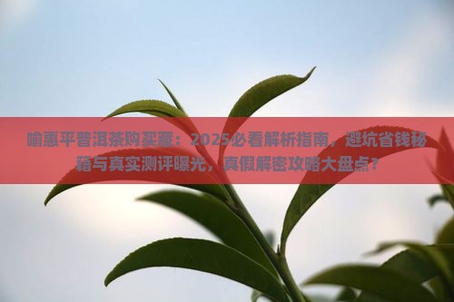 喻惠平普洱茶购买藏