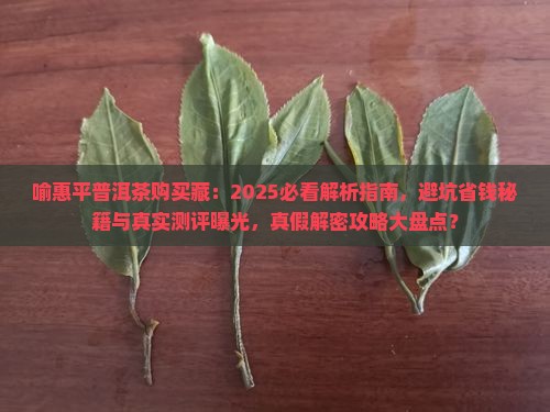 喻惠平普洱茶购买藏