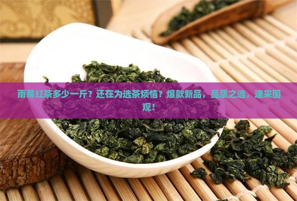 雨易红茶多少一斤