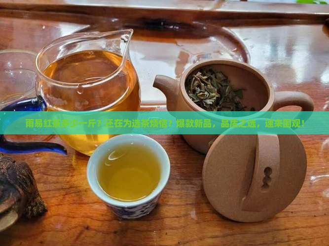 雨易红茶多少一斤
