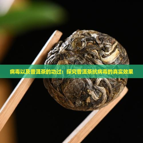 病毒以及普洱茶的功过
