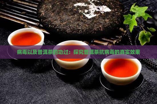 病毒以及普洱茶的功过