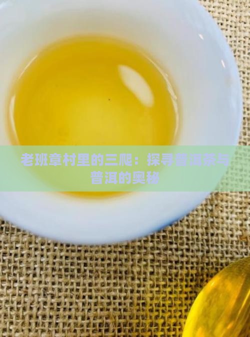 老班章村里的三爬