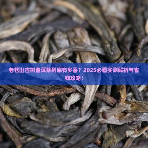 老苍山古树普洱茶特点和价格