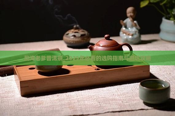 勐海老爹普洱茶
