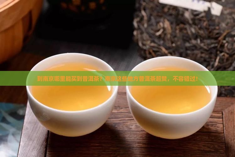 到南京哪里能买到普洱茶