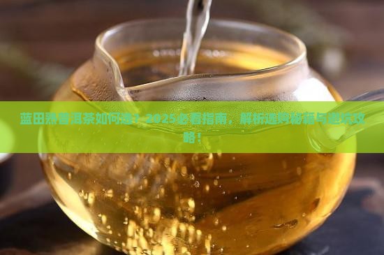 蓝田熟普洱茶品牌