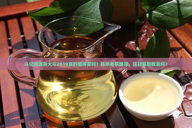 斗记普洱茶大斗2019