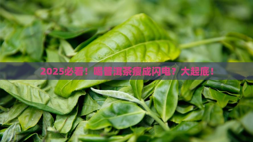 为什么喝普洱茶会消瘦 为什么喝普洱茶会消瘦