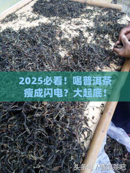 为什么喝普洱茶会消瘦 为什么喝普洱茶会消瘦