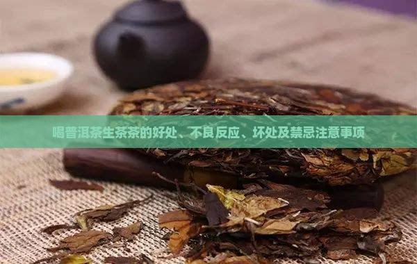 喝普洱茶生茶茶