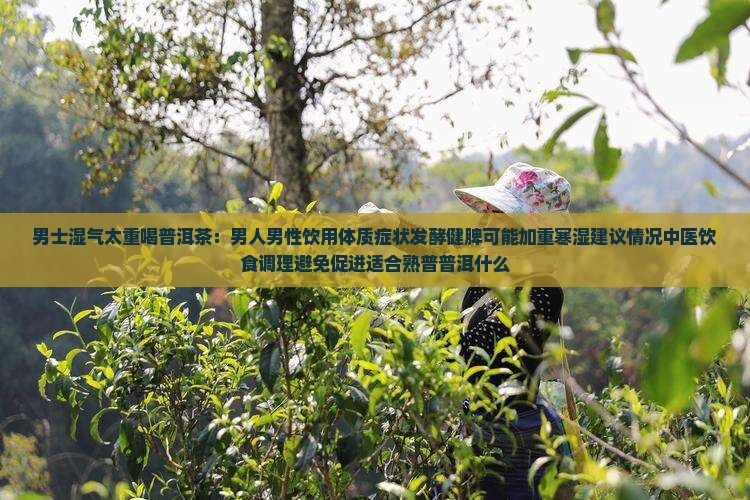 男士湿气太重喝普洱茶