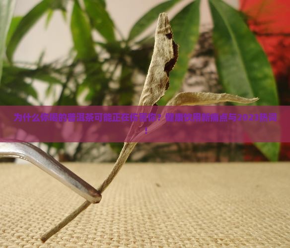 健康饮用普洱茶的好处和坏处