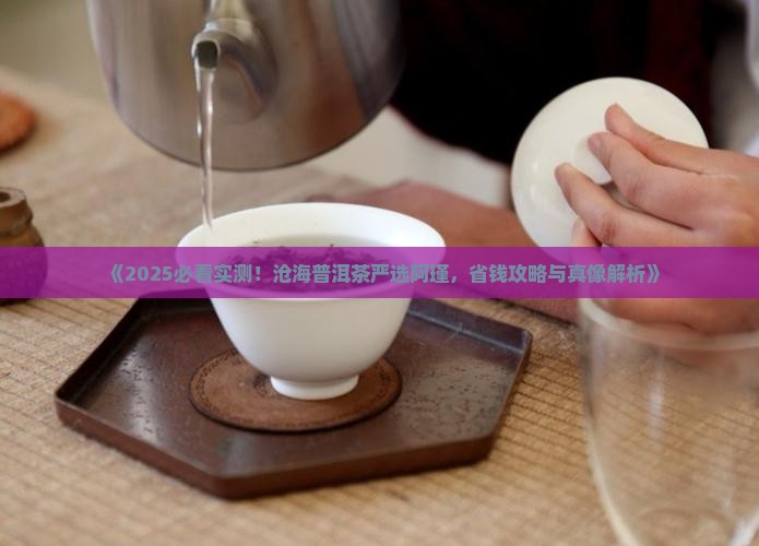 沧海普洱茶严选阿瑾