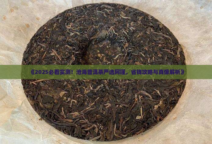 沧海普洱茶严选阿瑾
