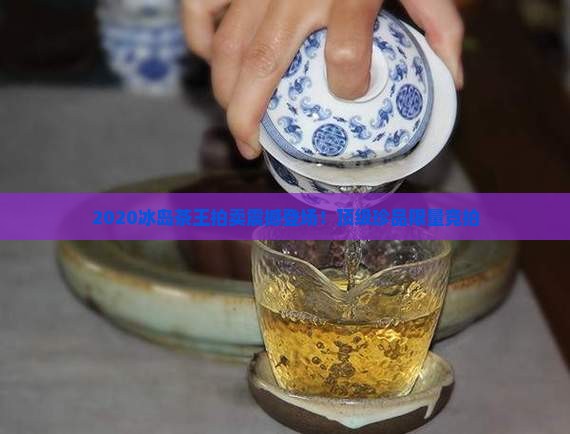 2020冰岛茶王拍卖