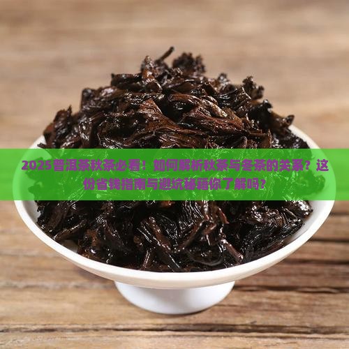 普洱茶秋来了冬也不远了