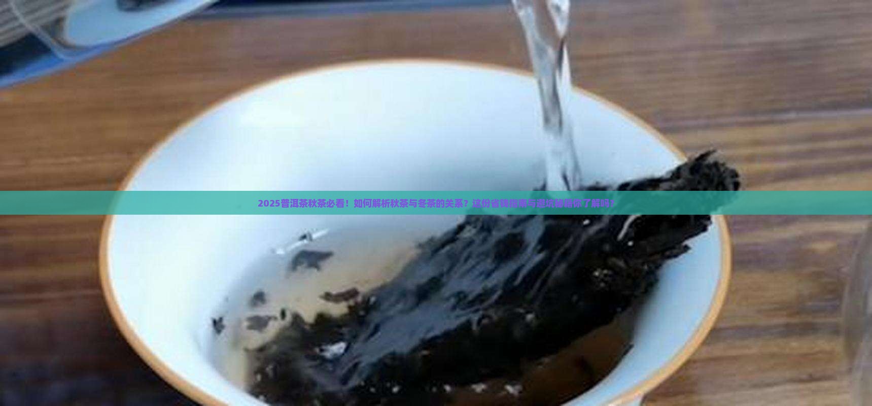 普洱茶秋来了冬也不远了