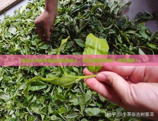 400克布朗山普洱茶