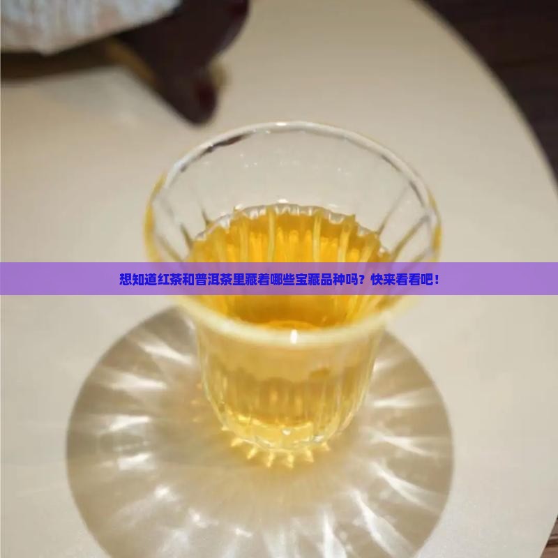 红茶普洱茶都有哪种品种