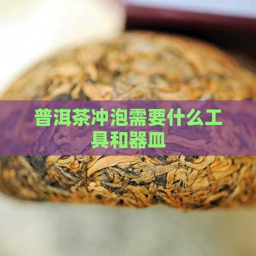 普洱茶冲泡需要什么工具