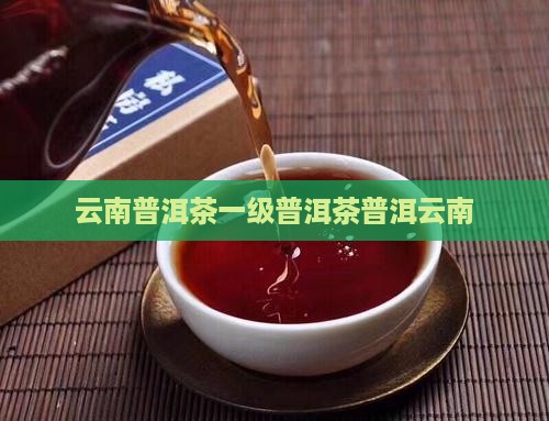 云南普洱茶一茶