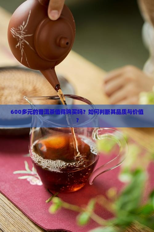 600多元的普洱茶