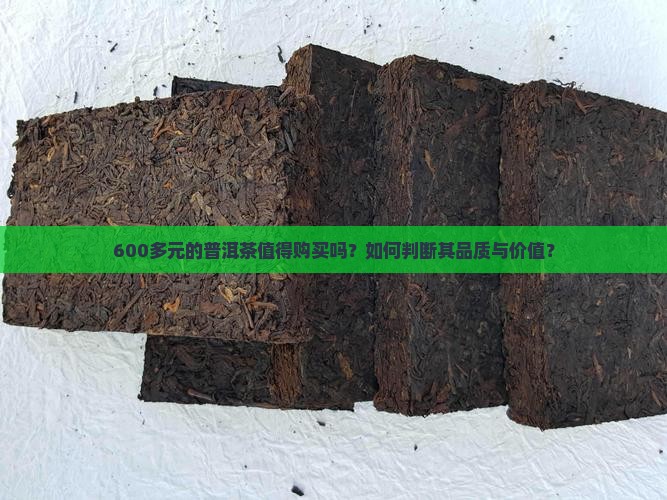 600多元的普洱茶