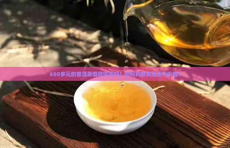 600多元的普洱茶