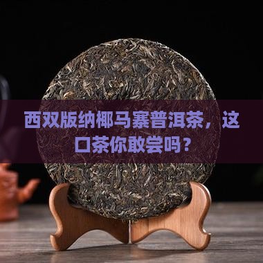 西双版纳椰马寨普洱茶