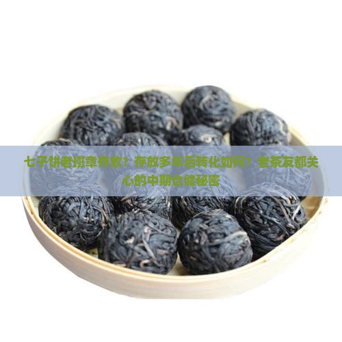 七子饼老班章存放