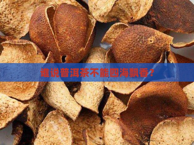 四海飘香普洱茶