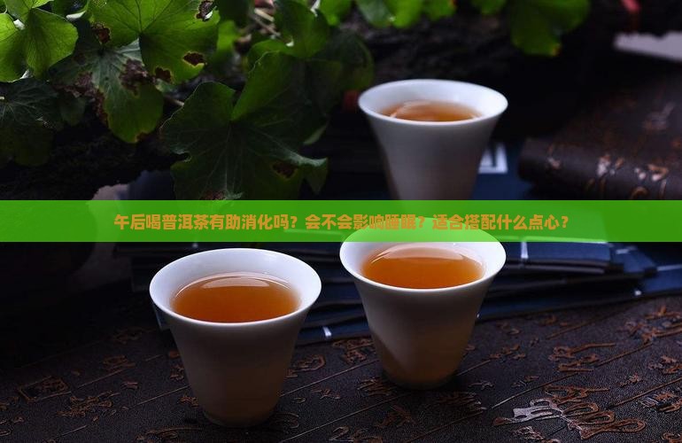 午后普洱茶怎么样