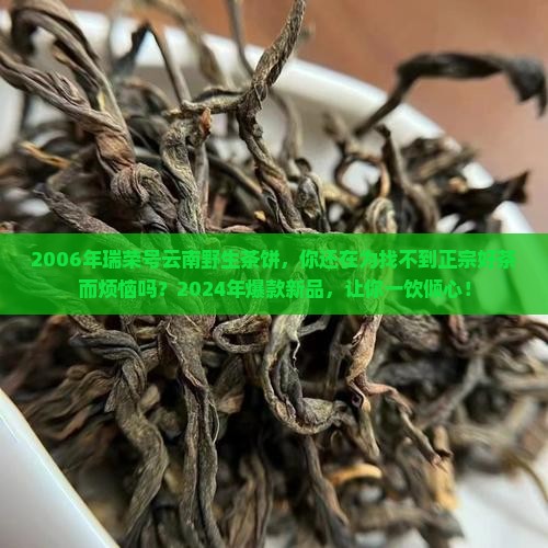 2006年瑞荣号云南野生茶饼