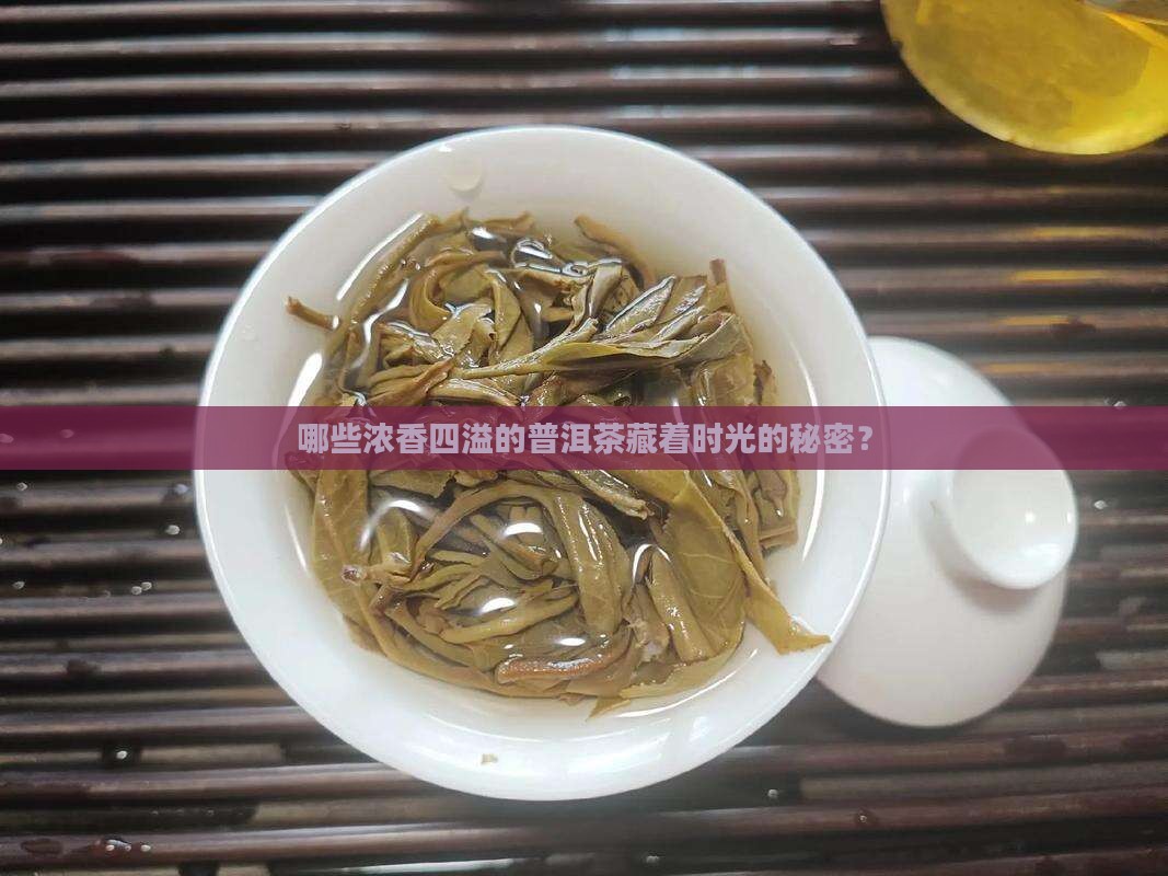 有哪些滋味浓酽的普洱茶