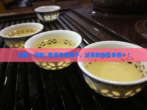 润怡渟普洱茶老寨子
