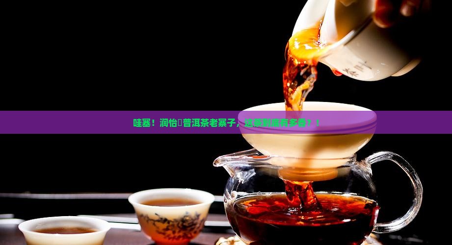 润怡渟普洱茶老寨子