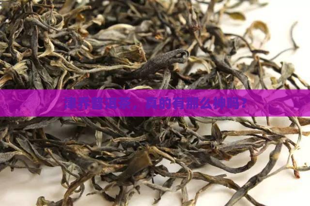 津乔普洱茶推荐