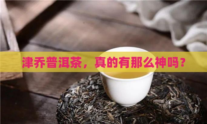 津乔普洱茶推荐
