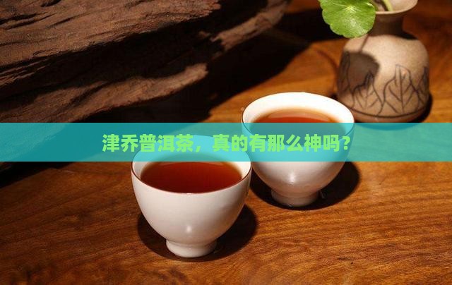津乔普洱茶推荐