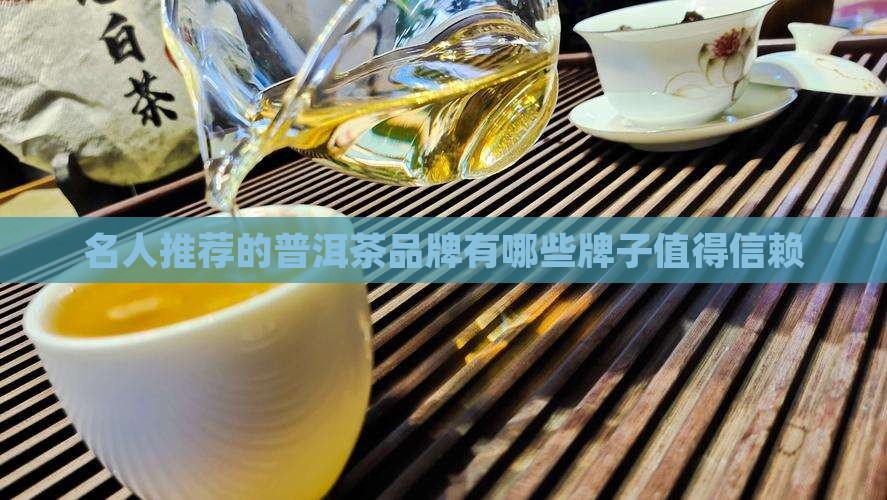 名人推荐的普洱茶品牌有哪些