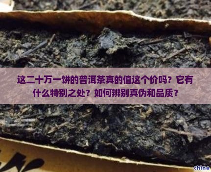二十万一饼普洱茶
