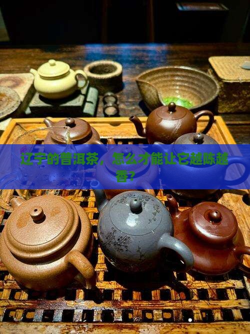 辽宁普洱茶怎么保存好茶