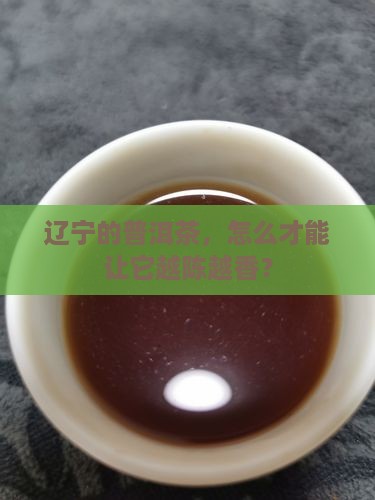 辽宁普洱茶怎么保存好茶